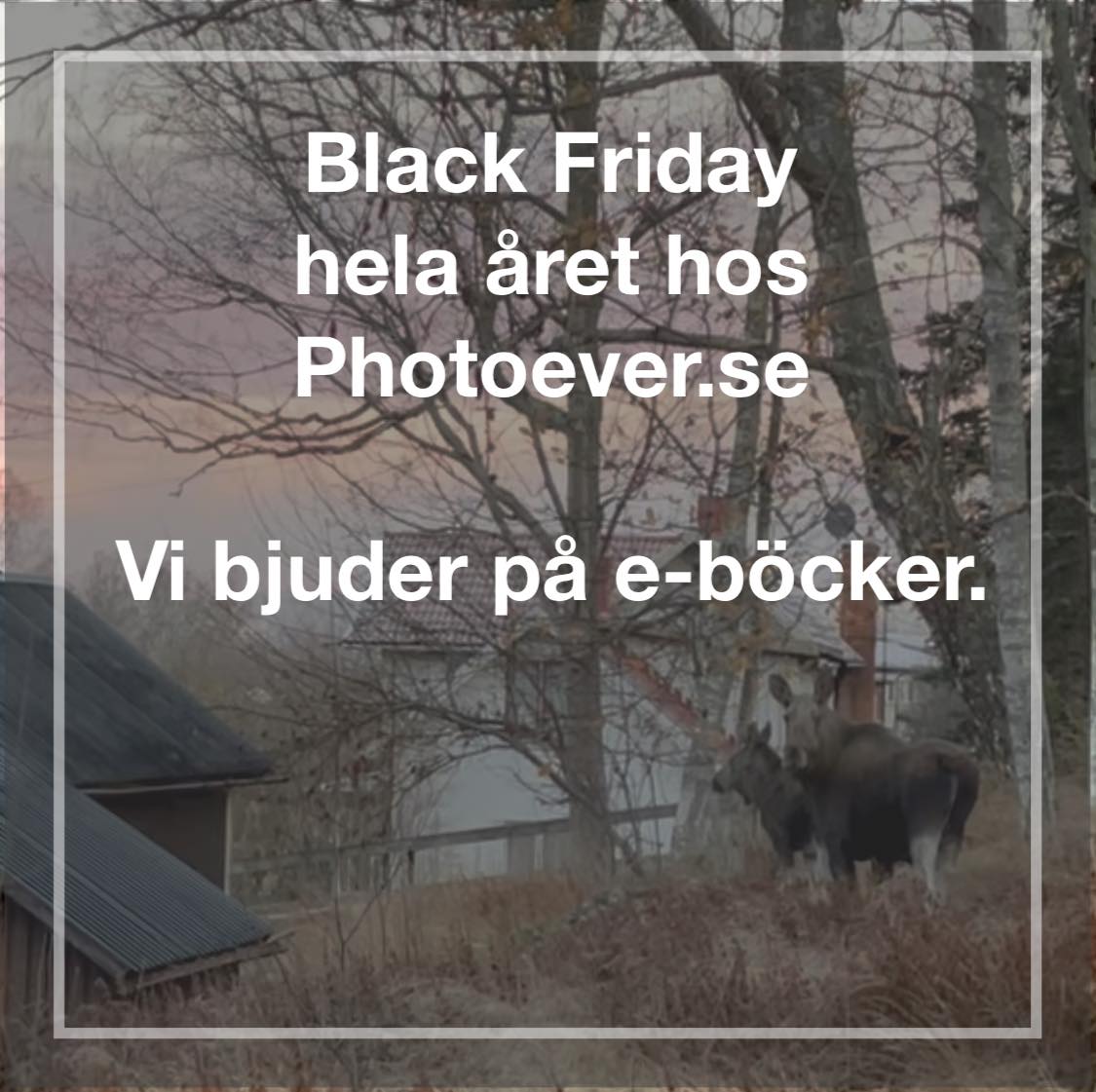 Black Friday (5)