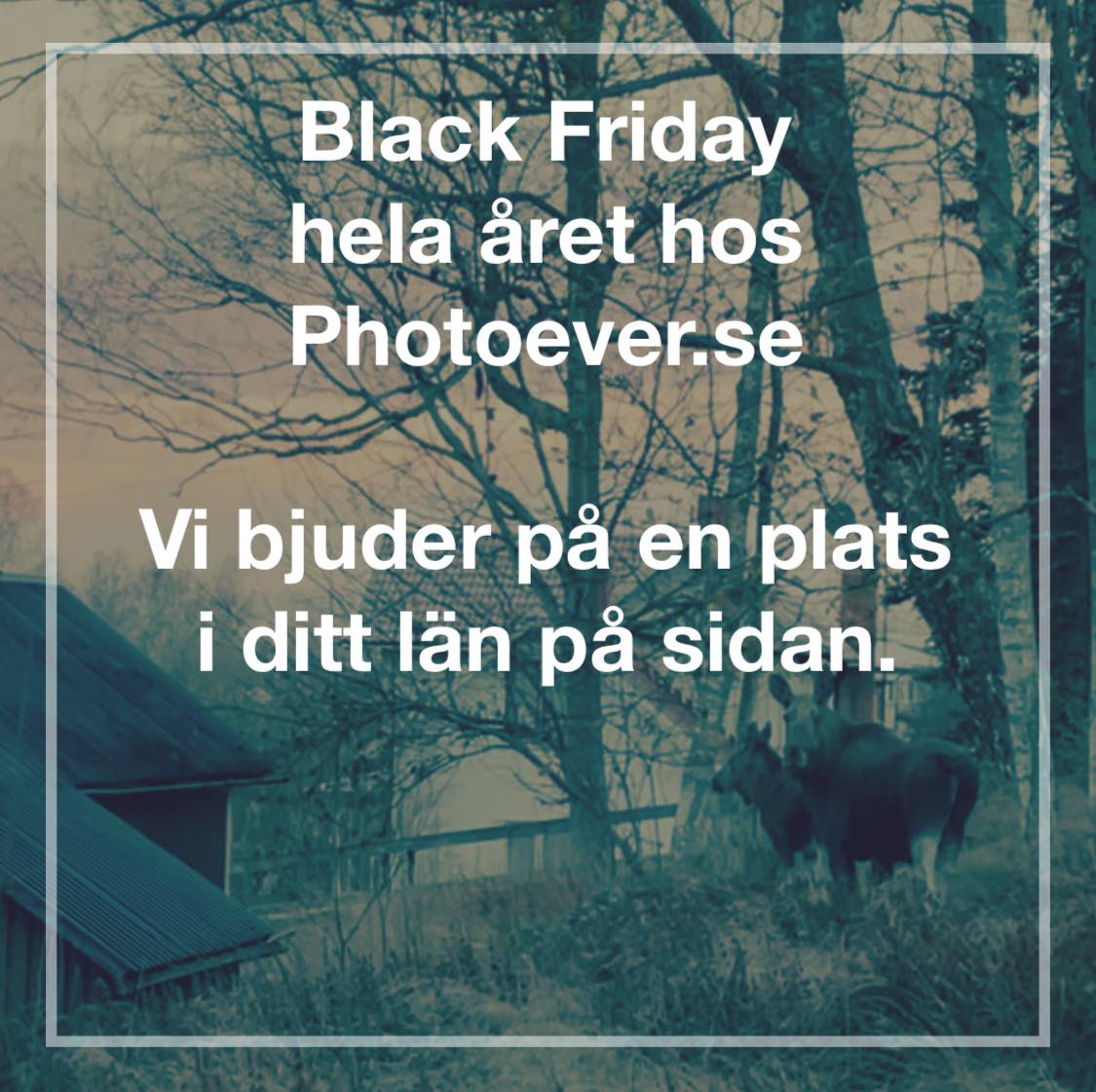 Black Friday (7)
